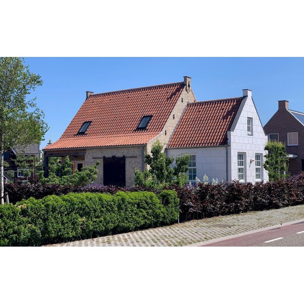 Koramic dakpan Oude Holle 451 Vielli Rood